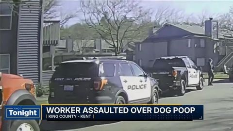 Worker assaulted over dog poop dispute | Haystack News