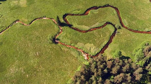 Šumava: Poslední divočina v srdci Evropy - ČT edu - Česká televize