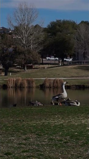 Green Valley Park