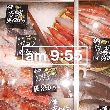 サカナバッカ 開店準備編