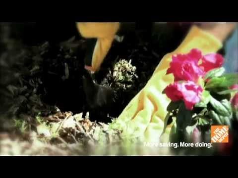 Quick Tips: Transferring Plants from Pots to Ground