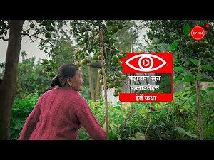 पहाडमा सुन फलाउनेहरु | Pahadma Sun Falauneharu | Herne Katha EP157 - हेर्ने कथा