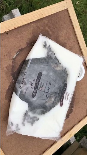 Feeding bees with Apifonda