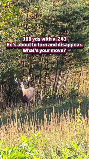 2.6M views · 11K reactions | Good honest debate here....what say you??? 樂 #whitetail #deerhunting #gameover | Game Over Outdoors | Facebook