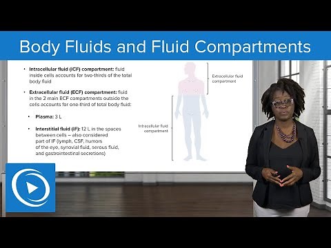 Body Fluids and Fluid Compartments – Physiology | Lecturio Nursing