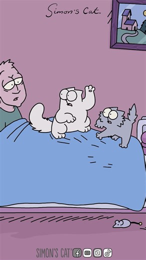 1.2M views · 32K reactions | A furry ball of mayhem! Watch our latest colour compilation 'Crazy Kitten 2' : https://www.youtube.com/watch?v=l8AAu-VNIQw  | Simon's Cat | Facebook