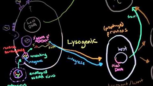 Retroviruses