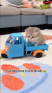 Cat Becomes a Truck Driver 😹🚛 | Funny Cat Adventure | Must Watch! #catvideos #shorts #cutecat #cat