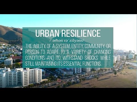 What Works to Make Cities More Resilient?