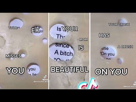All Knowing Cheese | TikTok Cheese Of Truth ✍🏼🔮