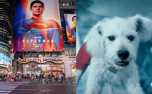 Superman, eletto a New York con un contest il sosia di Krypto, il supercane del film