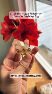 8.6K views · 171 reactions | If you haven’t booked a dig at MVMM yet, what are you waiting for?!  #herkimerdiamond #crystals #mining #rockhounding #adventure | Mohawk Valley Mineral Mining Inc | Facebook