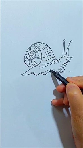 How to Draw a Snail Easy | Step by Step Drawing Tutorial for Beginners