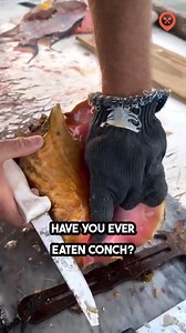 Have you ever eaten Conch? 🐚 #seafood #food | Foodporn