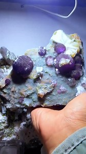 151K views · 1.6K reactions | Found this stunning specimen of botryoidal fluorite! The grape-like clusters and vibrant purple color are mesmerizing. Have you ever seen fluorite in this form? Share your thoughts!  #BotryoidalFluorite #Fluorite #PurpleCrystals #MineralSpecimen #GeologyRocks #UniqueMinerals #CrystalBeauty | SocialSphere Central | Facebook