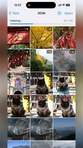 Tips for Importing Photos from an SD Card to an iPhone