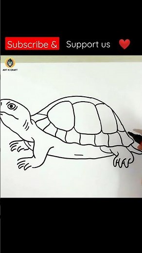 Draw tortoise step by step easily. Tortoise drawing #shorts