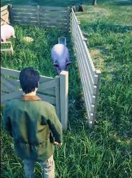 TECHNO GAMERZ RANCH SIMULATOR GAMEPLAY SHOTS#10