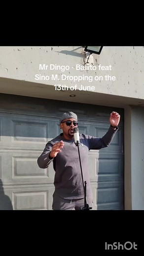 Mr Dingo - Ballito: Anticipated Release with Sino M
