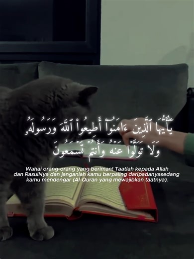 Al-Quran bukan sekadar kitab agama. Di dalamnya terkandung ilmu tentang Tuhan, alam serta pelbagai cabang pengetahuan yang melangkaui zaman, termasuk geografi, sains dan matematik. Ayat-ayatnya membincangkan fenomena alam, kejadian manusia serta pelbagai tanda kebesaran Tuhan yang terus menjadi bahan kajian para ilmuwan. Hal ini menjadikan Al-Quran sebagai sumber rujukan ilmu yang komprehensif, merangkumi aspek fizikal dan rohani kehidupan manusia. Sebab itu menghormati Al-Quran bukan hanya soal