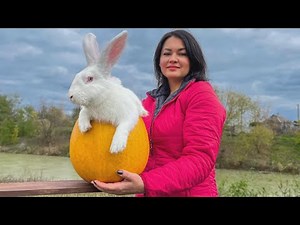 Juicy Rabbit Baked in Pumpkin with Tomatoes & Onions! Victoria’s Special Recipe