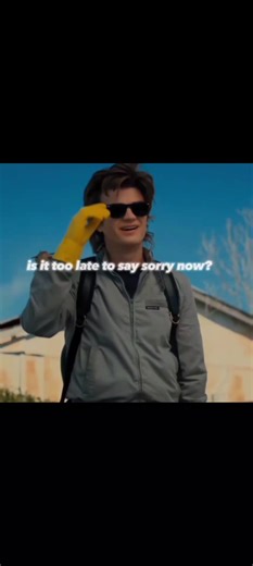 Steve Harrington Edits in Stranger Things Explained