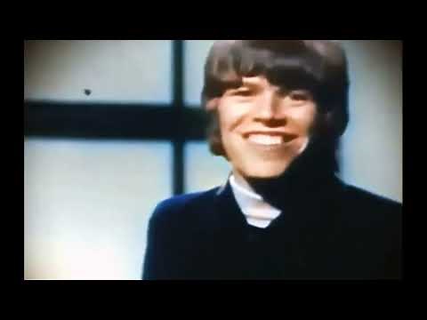HERMAN'S HERMITS "THERE'S A KIND OF HUSH" 1967