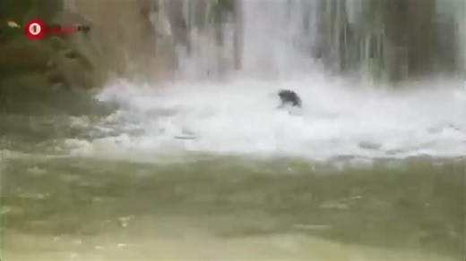 El Capo Capitulo 47 #serieelcapo Temporada 1 | Series y Peliculas De la buenas