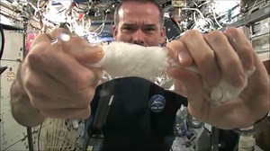 1.1M views · 13K shares | What happens when you soak a cloth and then wring it out in space? Col. Chris Hadfield finds out in this video during his time on the International Space Station. Like for more ⇒ STEMN Source: https://www.youtube.com/watch?v=o8TssbmY-GM | STEMN | Facebook