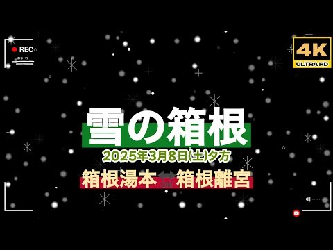 「4K」🆙2025年最新 雪道走行「雪の箱根」「夏タイヤ族」を完全排除 冬の箱根はスタッドレス標準で来てください。チェーン装着場所なし G450d G400d マグノED マヌED