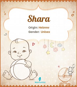Shara Name Pronunciation, Meaning & Numerology: Complete Guide Name Meaning, Origin, History, And Popularity
