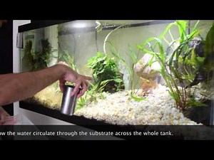 HOW TO: fully cycle a new under gravel filter system