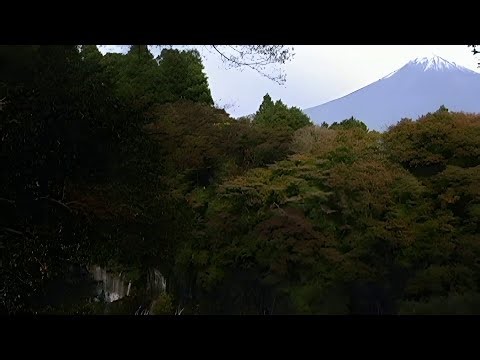 Mt. Fuji Autumn Sightseeing – Shizuoka’s Western Route | Electric Guitar & Synth