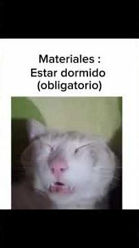 COMO DESPERTAR 💥(explicado por michi😺)//TUTORIAL