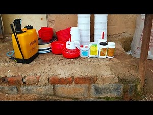 SECRET PRE-BROODING HACKS 🔥 | 100% Brooding Success & ZERO Chick Mortality GUARANTEED!”