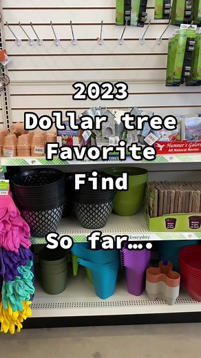 Dollar Tree Organization Hacks 2023: Favorite Finds