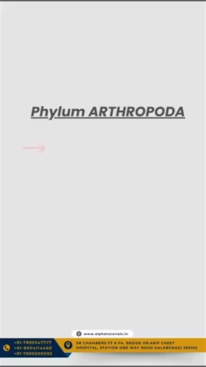 Alpha Tutorials Kalaburagi on Instagram: "Phylum Arthropoda – the largest phylum in the animal kingdom with jointed legs, chitinous exoskeleton and segmented body 🔬✨ Perfect concept for KCET biology revision 💯📚 🚀 Admissions Open for KCET Crash Course at Alpha Tutorial Quick revision • Important MCQs • Smart exam strategies 🎯 📞 +91 7899347777 | +91 8904114460 | +91 7900200093 🌐 www.alphatutorials.in #PhylumArthropoda #KCETPrep #KCET2026 #AlphaTutorial #CrashCourse AdmissionsOpen BiologyRee