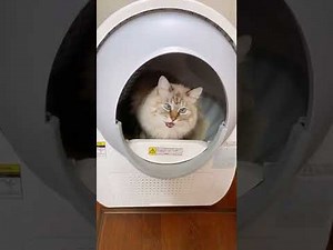 CATLINK SCOOPER PRO Self-Clean Smart Cat Litter Box - Luxury Pro