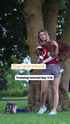 Sarah on Instagram: "Follow @the.trick.team for more tutorial🐾"