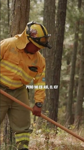 ICF Trabaja por Nuestros Bosques y la Prevención de Incendios