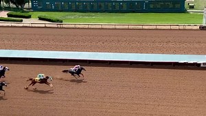 First Prize Charmer sets the mark at :21.804 in the first of 32 All American Futurity trial heats. #RuidosoDowns | Ruidoso Downs Race Track and Casino