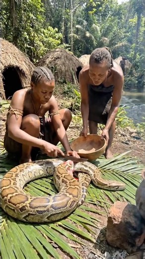 Tribal tribe butchers and cooks python in the open wild🐍🍲 #tribalfood #tribalcooking #shorts