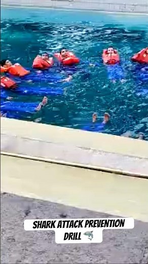 Shark attack prevention drill 🦈#rescue #training #safety #sharkacademy #sharkdiver