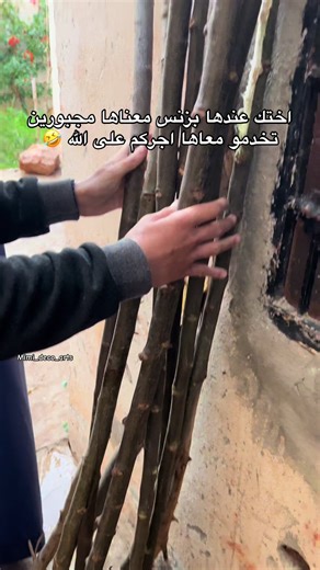 #foryou #bohemia #decoration #creatorsearchinsights #trend