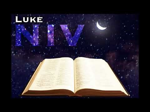 Luke NIV Dramatized Holy Bible Audiobook - New International Version -The New Testament