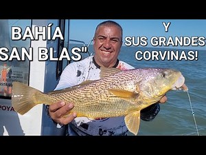 FISHING IN "BAHÍA SAN BLAS" CORVINA, VARIED AND SILVERFISH EXCELLENT FISHING!!