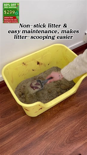 The Ultimate Automatic Litter Box Review