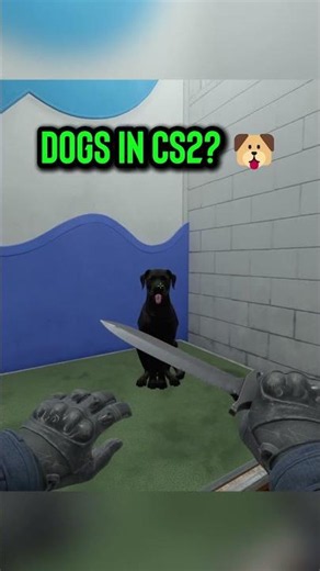 Okay, BEST update ever. 🥹🐕