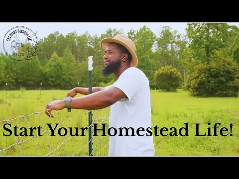How to Start a Homestead in 2025 | 5 Beginner Steps to Self-Sufficient Living