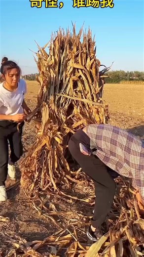 Hilarious Funny Prank Videos to Brighten Your Day